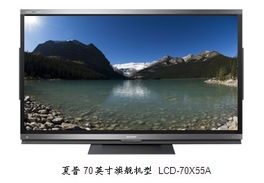 大尺寸电视抢占彩电市场成消费新热潮